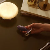 LELO Surfer, estimulador anal com vibração